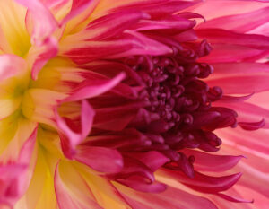 _A151110sharpen+cropWEB