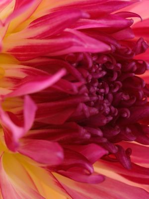 _A151110sharpen+cropWEB