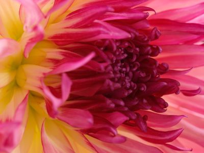 _A151110sharpen+cropWEB