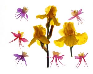 img-new-scan2055adjustedWEB