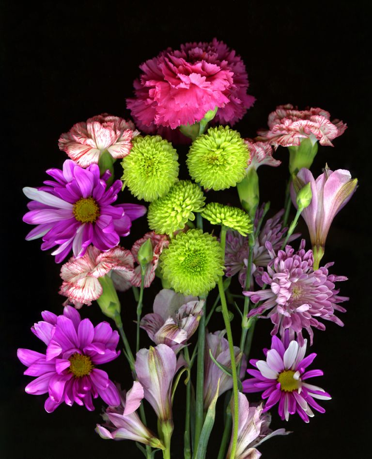 img-new-scan2083adjustWEB