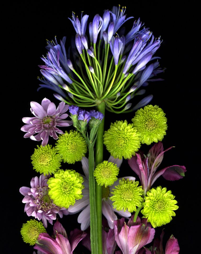 img-new-scan2089adjustWEB