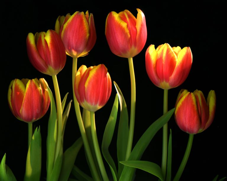 img-new-scan2110adjustWEB