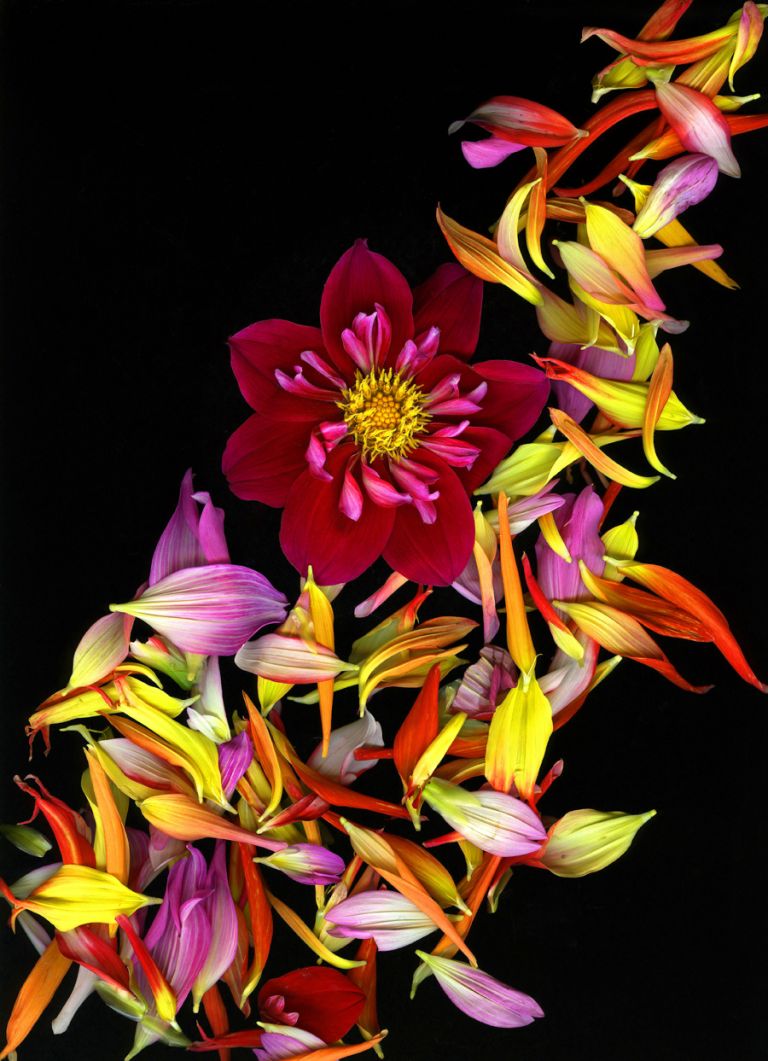 img-new-scan2175adjustWEB