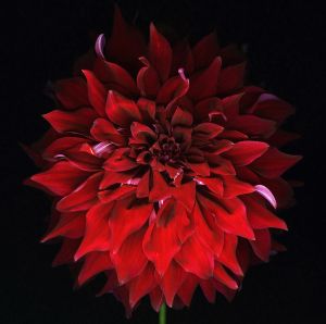 img-new-scan2204adjust+cropWEB