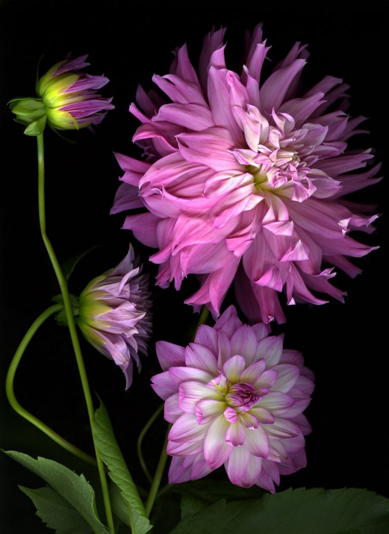 img-new-scan2220adjustWEB