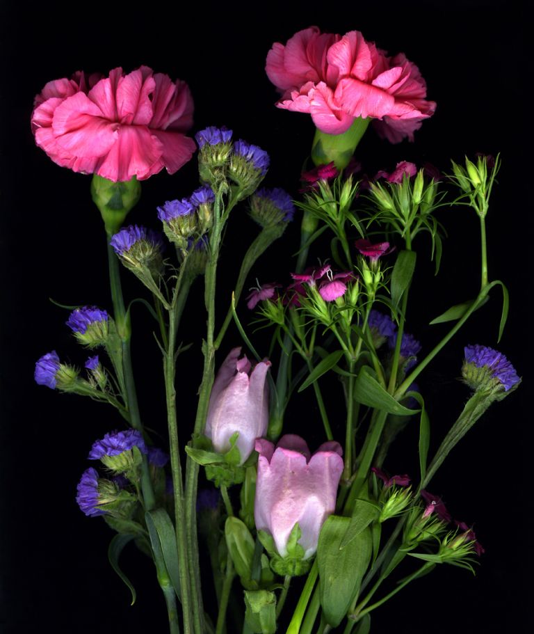 img-new-scan2255adjustWEB