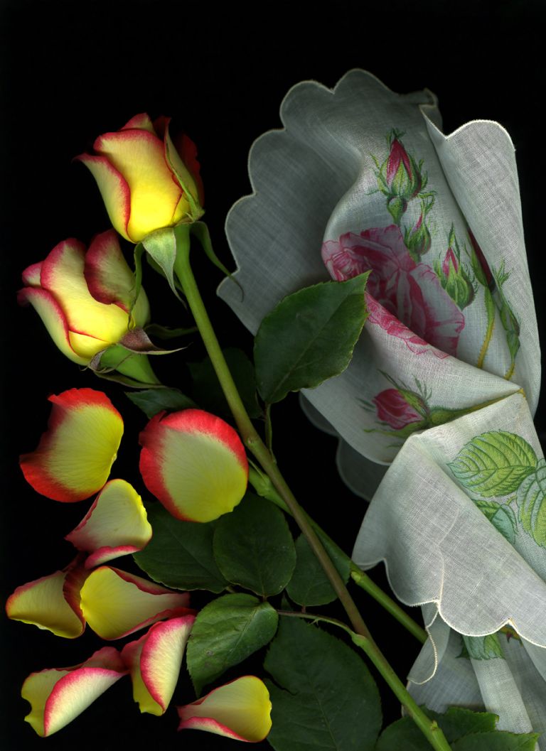 img-new-scan2280adjustWEB