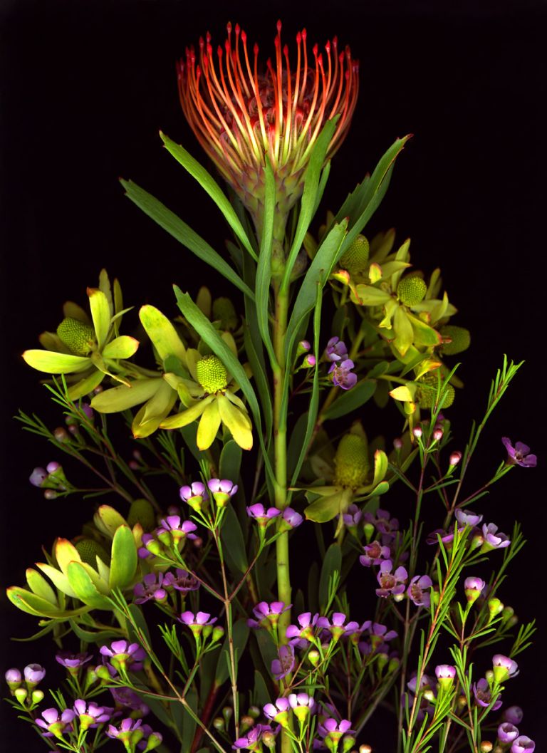 img-new-scan2295adjustWEB