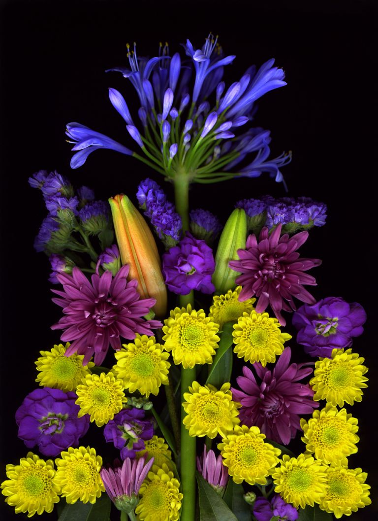 img-new-scan2306adjust2WEB