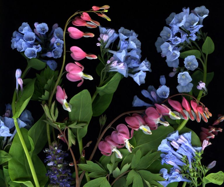 img-new-scan2330adjust+cropWEB