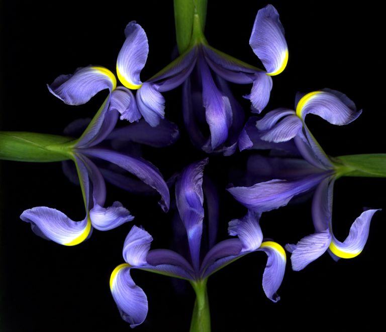 img-new-scan2377adjust+cropWEB